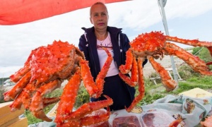 На Сахалине состоится фестиваль морских деликатесов